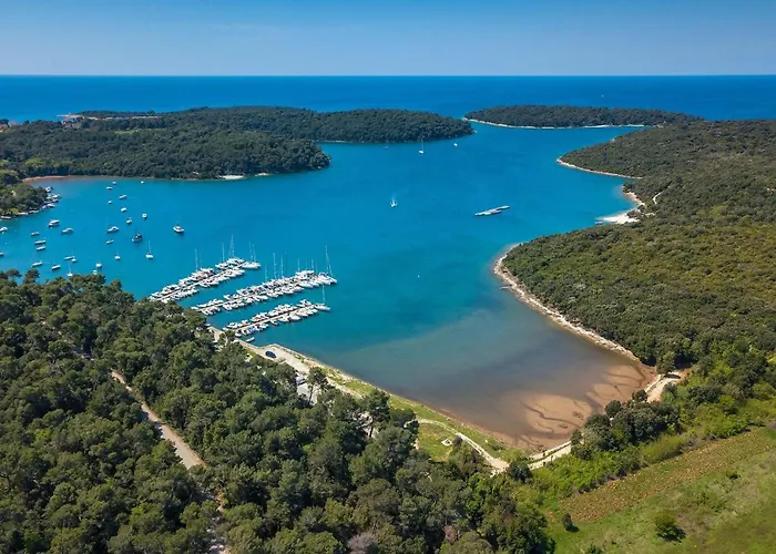 Hébergement de vacances Forest Bay